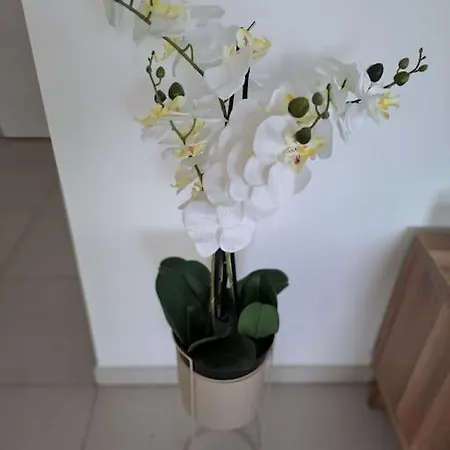 Super Au Coeur Des Vignes * Péret