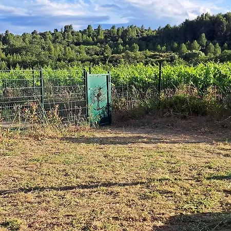 Super Au Coeur Des Vignes * Péret