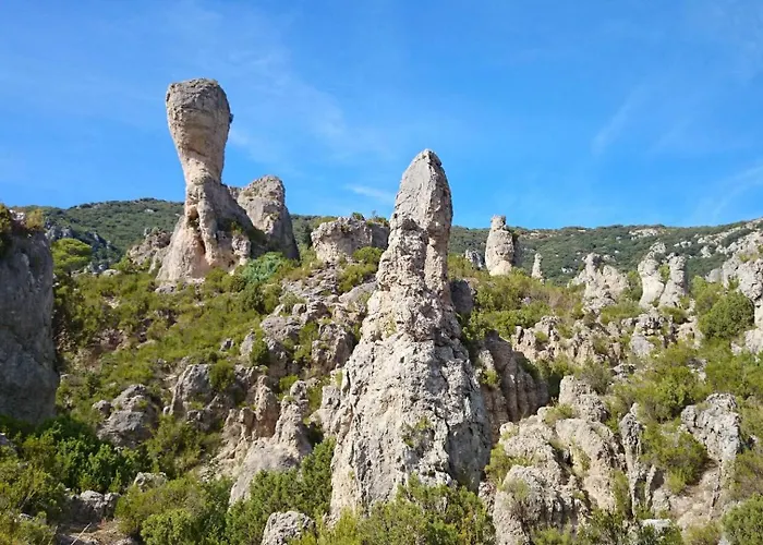 Super Au Coeur Des Vignes *